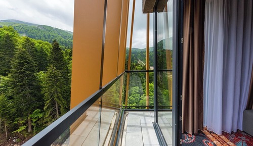 Premium Room, Mountain View