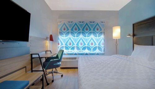Room, 1 King Bed