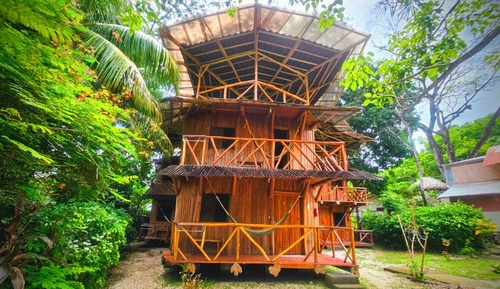 Traditional Tree House