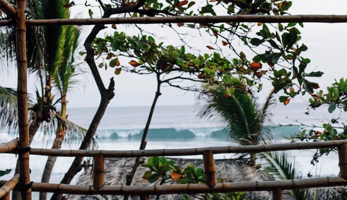 Palapa