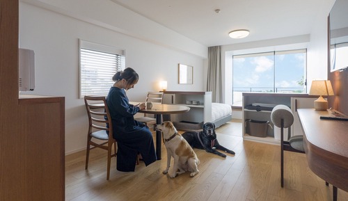 Twin Room Dog friendly/1off-site parking lot