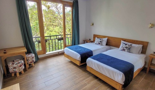 Deluxe Double or Twin Room