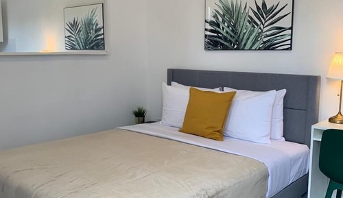 Basic Apartment