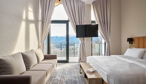 Deluxe Apartment, Mountain View