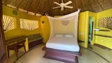 Standard Room, 1 Queen Bed, Sea View, Beachside