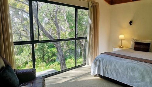 Family Studio Suite