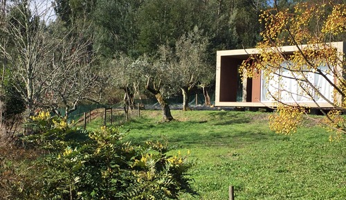 Panoramic Bungalow, Non Smoking, Mountain View