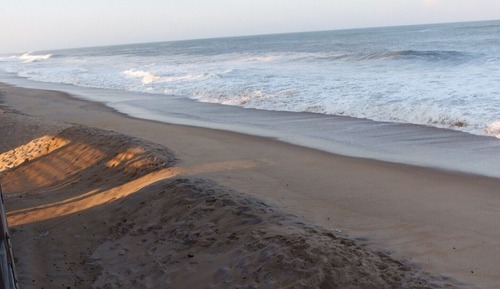 Classic Single Room, 1 King Bed, Non Smoking, Ocean View