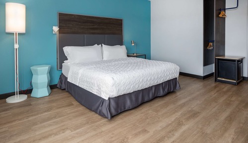 Room, 1 King Bed, Accessible, Bathtub