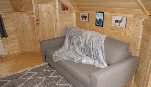 Family Cabin, 1 Queen Bed with Sofa bed, Hot Tub
