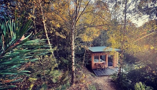 Comfort Chalet