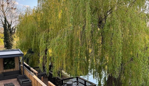 Deluxe Room, River View