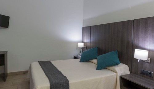 Basic Triple Room