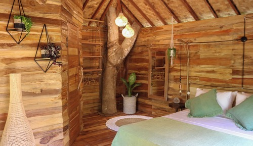 Comfort Tree House