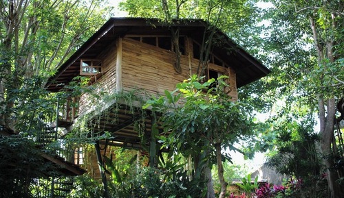 Premier Tree House
