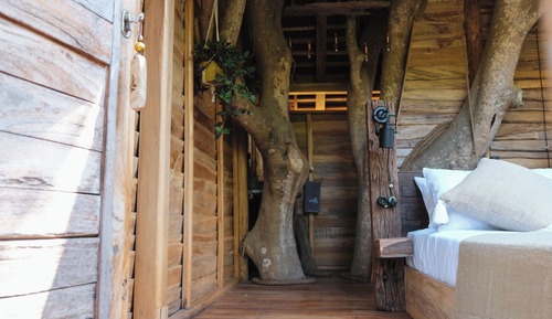 Honeymoon Tree House