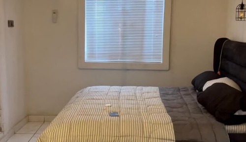 Basic Apartment