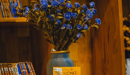 Design Shared Dormitory