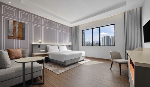 Room, 1 King Bed with Sofa bed