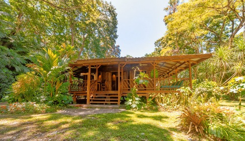 Deluxe Bungalow