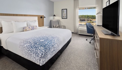 Room, 1 King Bed, Non Smoking