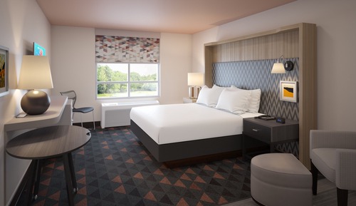 Room, 1 King Bed with Sofa bed, Roll-in Shower (Roll-In Shower)