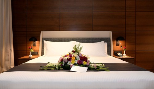 Executive Suite, 1 King Bed