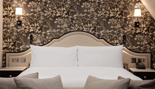 Room, 1 King Bed (Eaves)