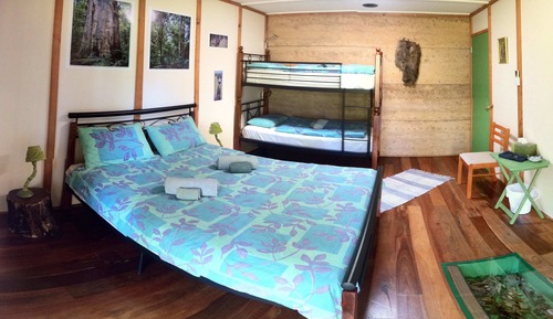 Forest Room