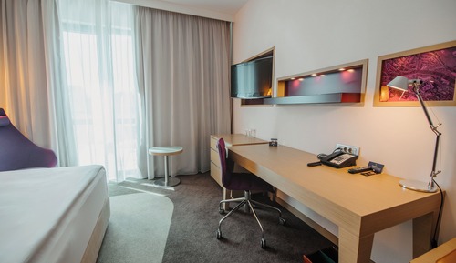 Room, 1 King Bed
