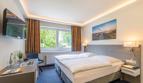 Comfort Double Room, 1 Queen Bed, Non Smoking