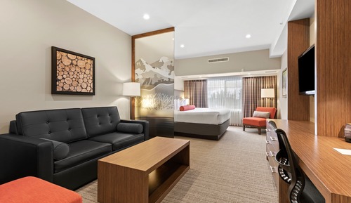Suite, 1 King Bed with Sofa bed