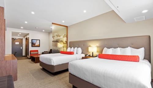 Suite, Multiple Beds