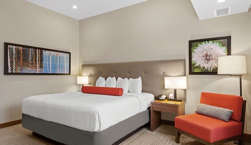 Standard Room, 1 King Bed (Shower)