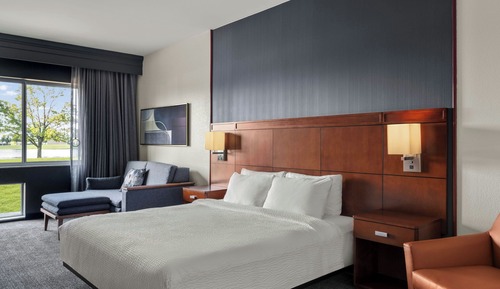 Room, 1 King Bed with Sofa bed