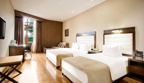 Classic Triple Room