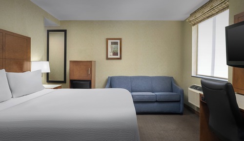 Standard Room, 1 King Bed with Sofa bed