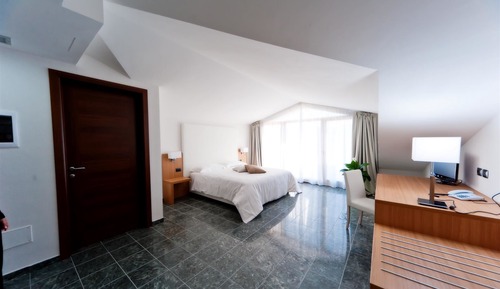 Deluxe Double Room Single Use