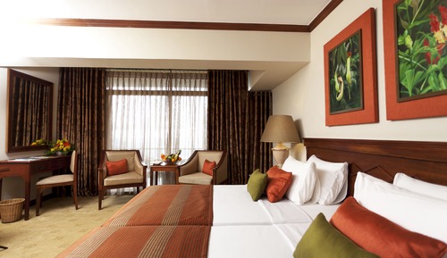 Superior Room, Non Smoking, Mountain View