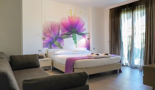 Double Room Single Use (Galmour)