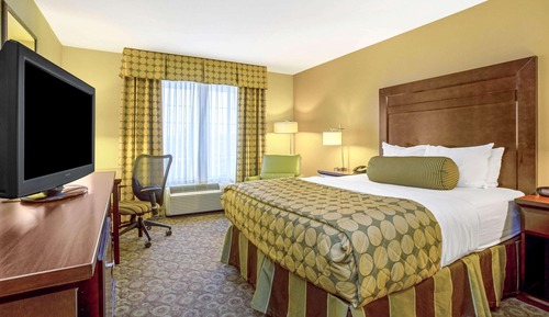 Room, 1 Queen Bed, Non Smoking