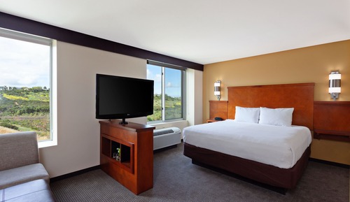 Standard Studio, 1 King Bed