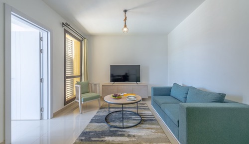 Luxury Apartment