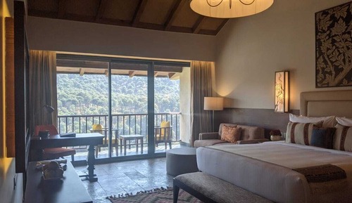 Deluxe Room, 1 King Bed, Mountain View
