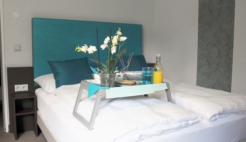 Basic Double Room