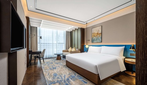 Business Suite, 1 Bedroom