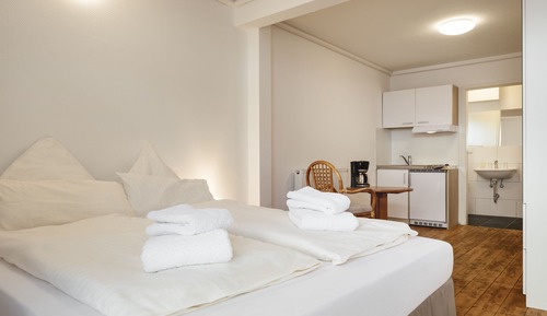 Standard Apartment