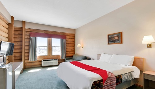 Room, 1 King Bed