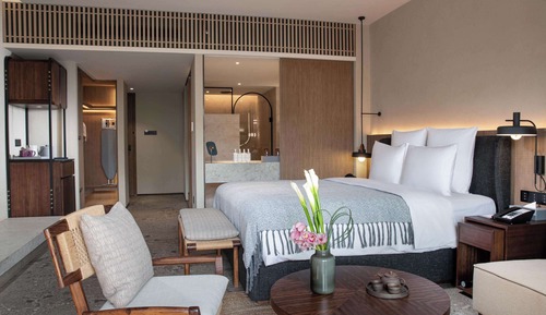 Deluxe Terrace Access King Bed Room