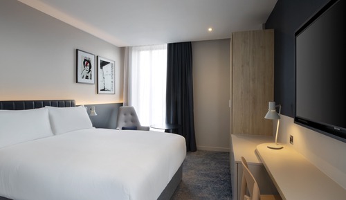 Executive Room, 1 King Bed